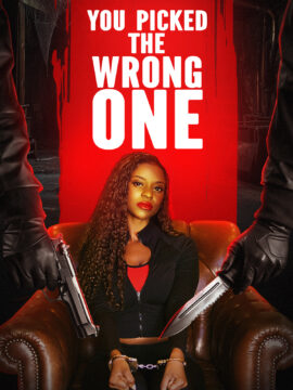 You Picked the Wrong OneHình bìa